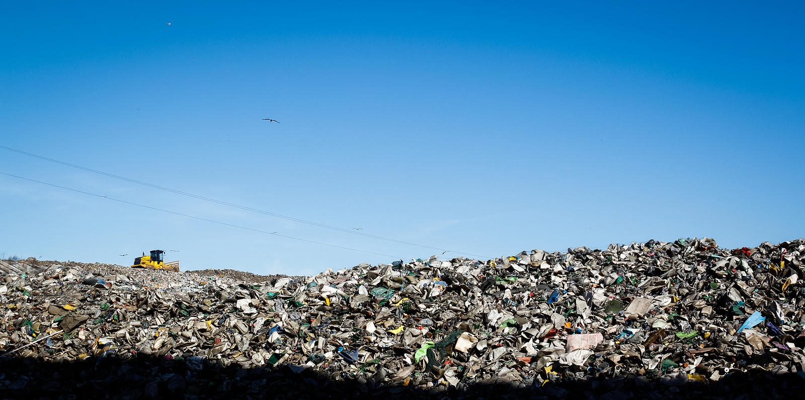 Recycling
