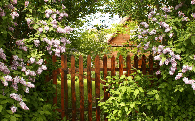 How to dispose of a wooden fence