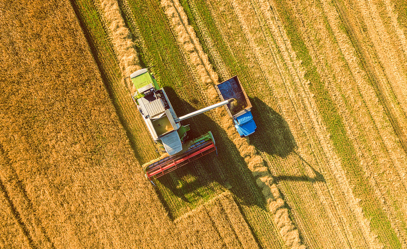 Why you should eat locally grown food