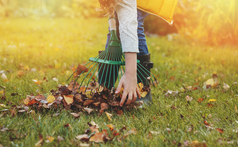 Garden waste: prepping the garden for autumn