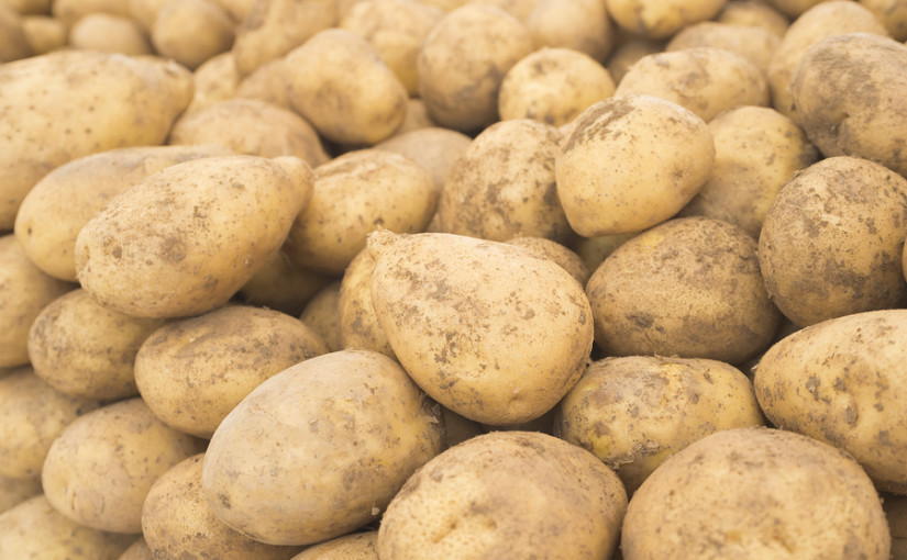 Saving food to save money: top tips