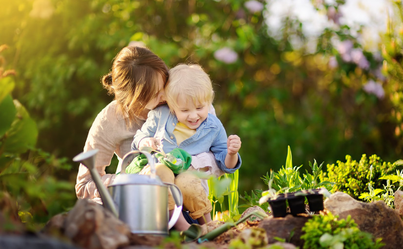 Things to recycle in the garden