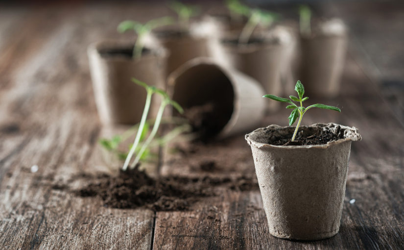 Tips for becoming self-sufficient