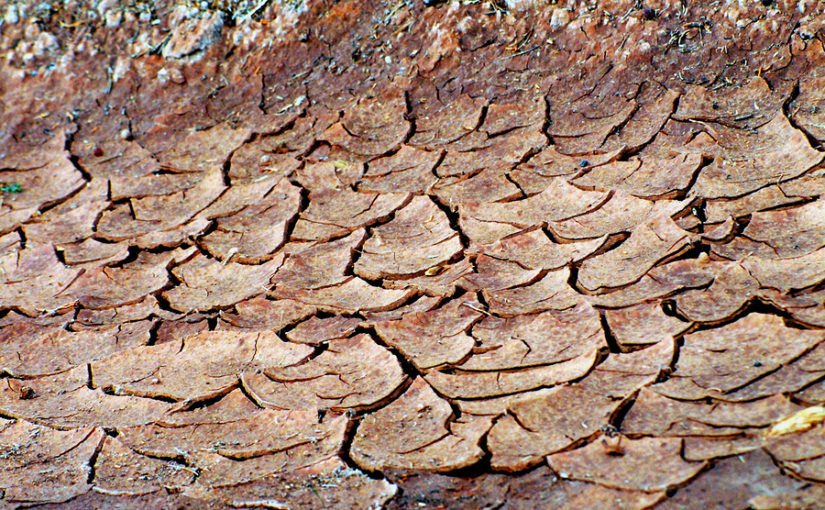 Has climate change caused the hot summer?