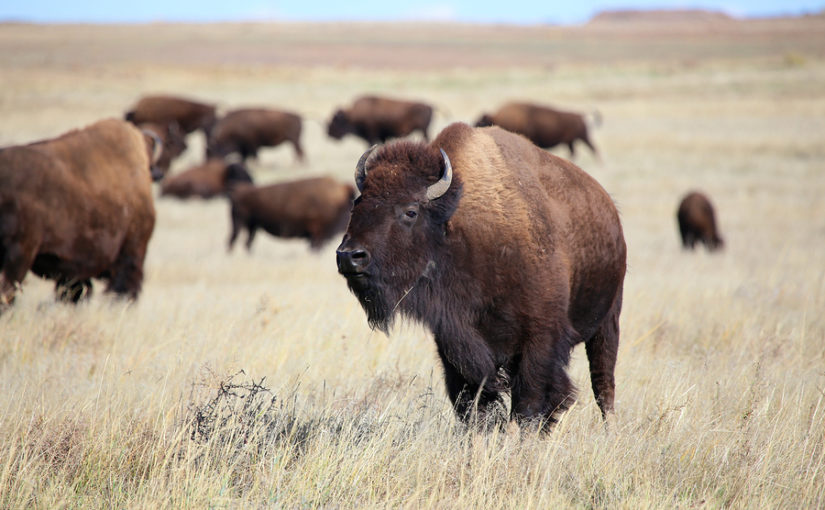 How to enjoy the most sustainable foods