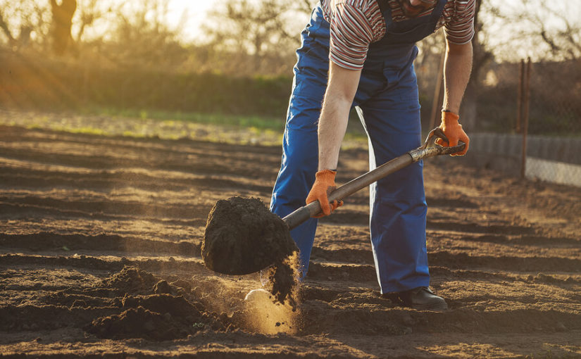Top garden improvements you can make in April