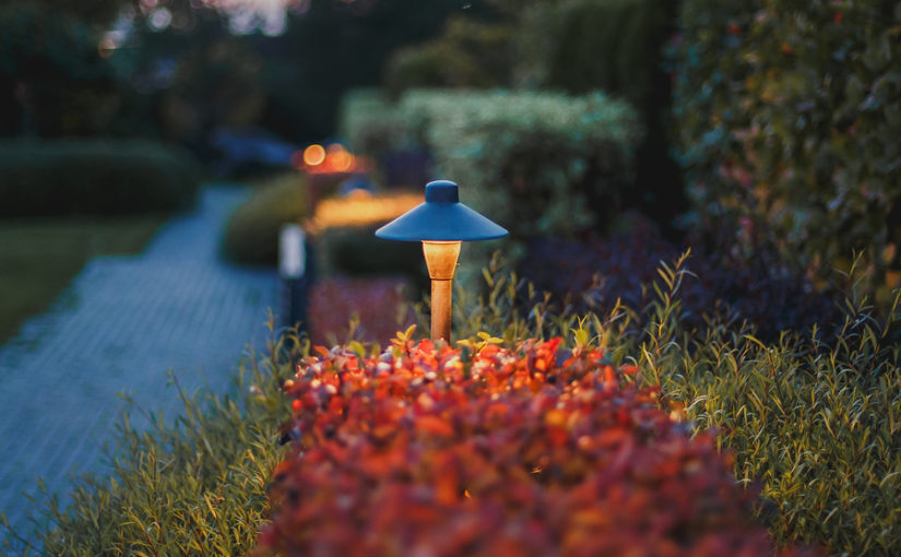 Garden jobs for Autumn