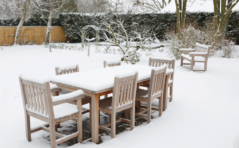 A garden during the winter time.