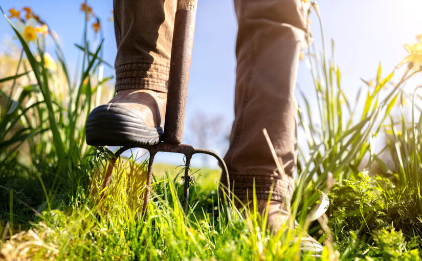 Everything You Need to Know About National Allotments Week