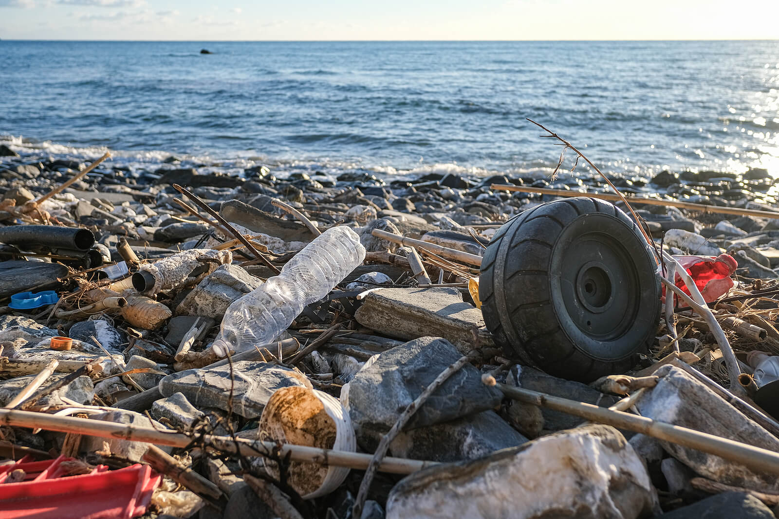 Waste on a beach including water bottles, tyres and other plastics.