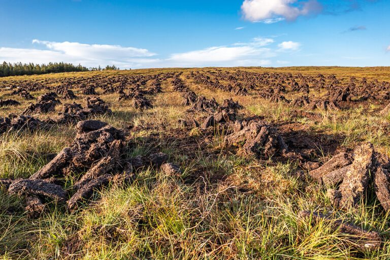 What is peat and is it bad for the environment? The Skip Hire