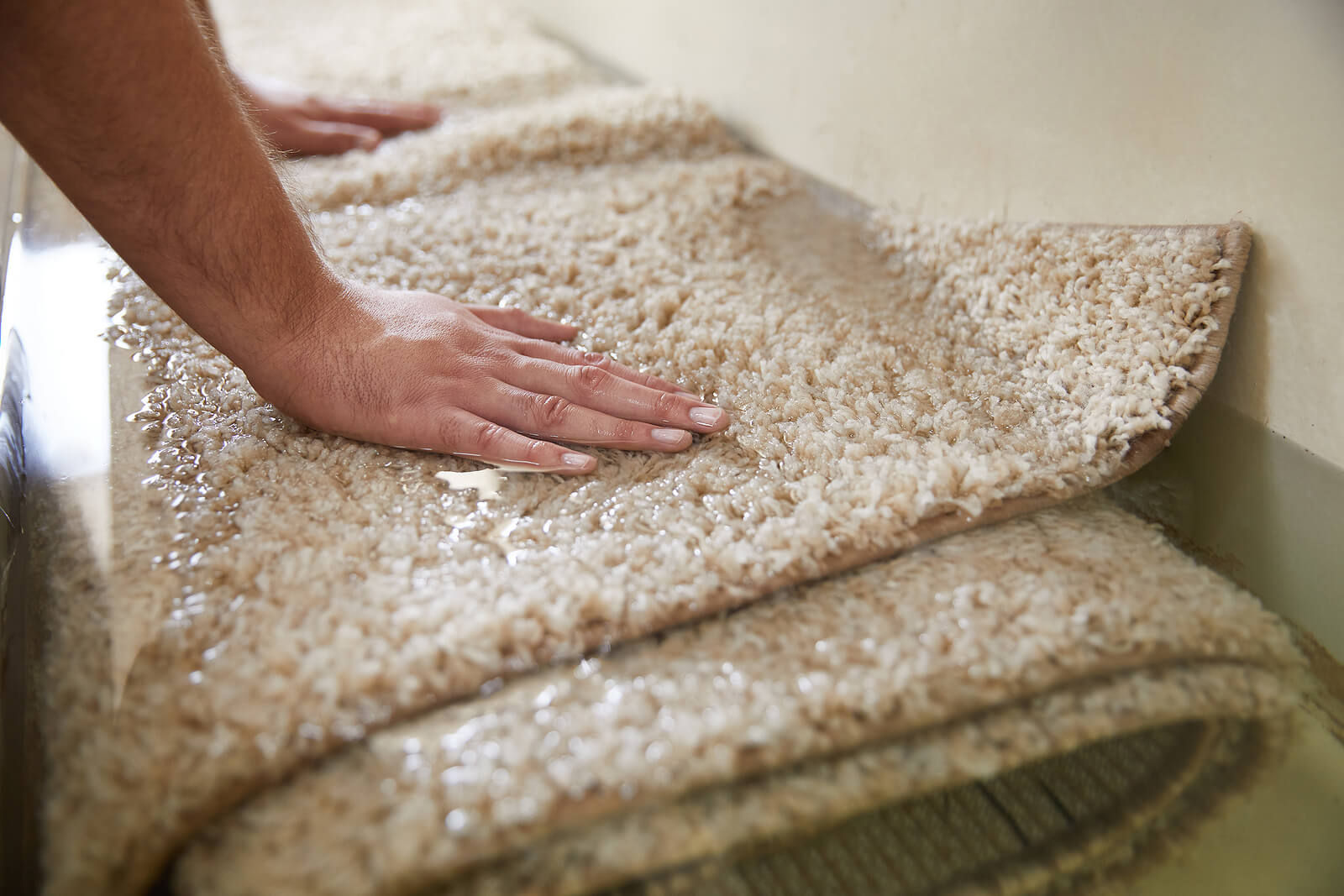 bigstock-Dirty-Carpet-Soaking-In-Specia-398449775 (1)