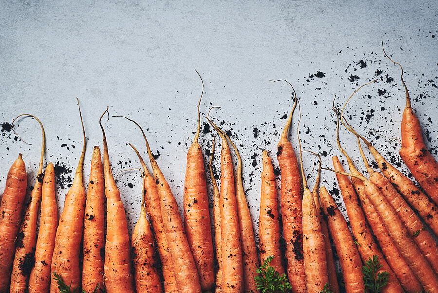 Vegan food carrots Background