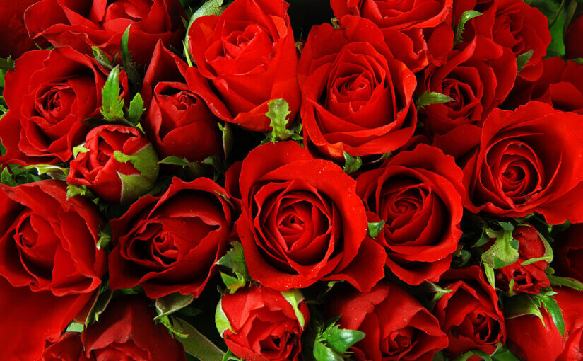 Eco friendly Valentine’s Day gift ideas