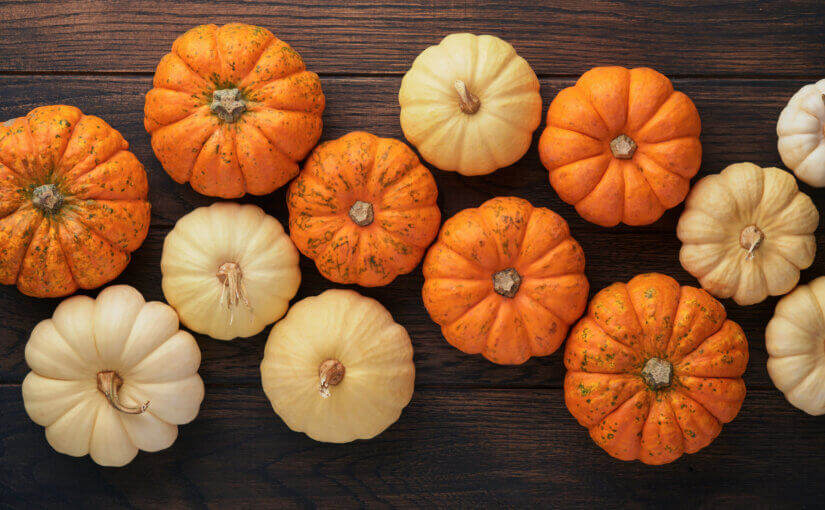 The frightening truth about Halloween waste