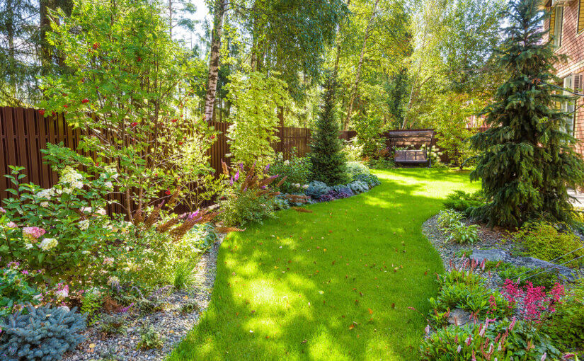 A private garden full of trees and plants
